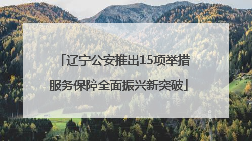 辽宁公安推出15项举措服务保障全面振兴新突破